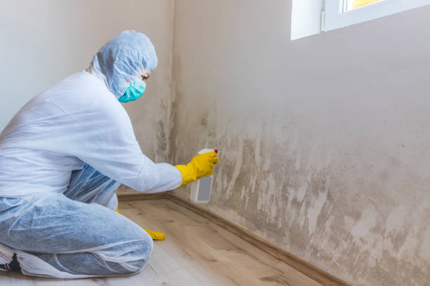 Licensed Mold Inspection service in Fulton, TX - WQB Mold Removal