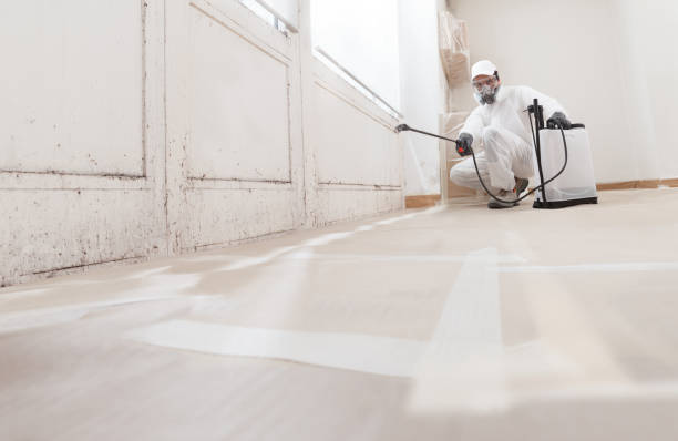 24/7 Emergency Mold Inspection experts in Fulton, TX