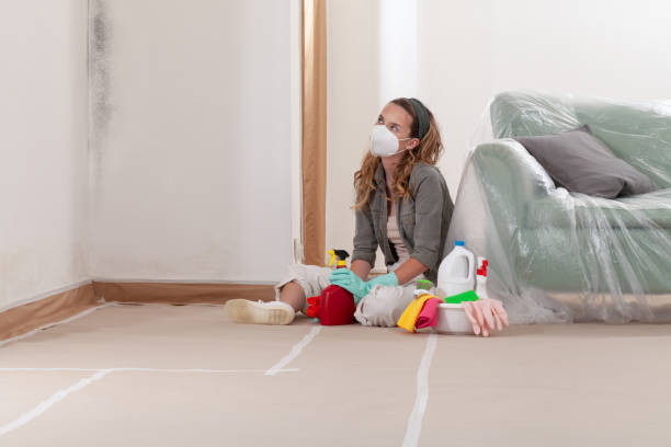 Reliable Mold Inspection contractor in Fulton, TX by WQB Mold Removal